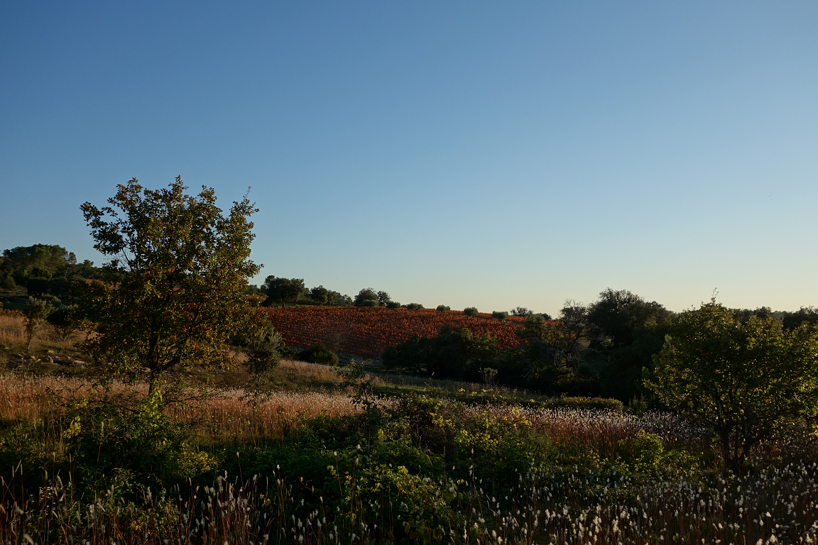 Die Geschichte von der Biodiversität
