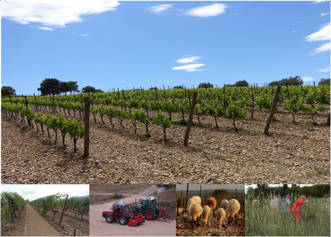 Die Geschichte von der Bodenbearbeitung
