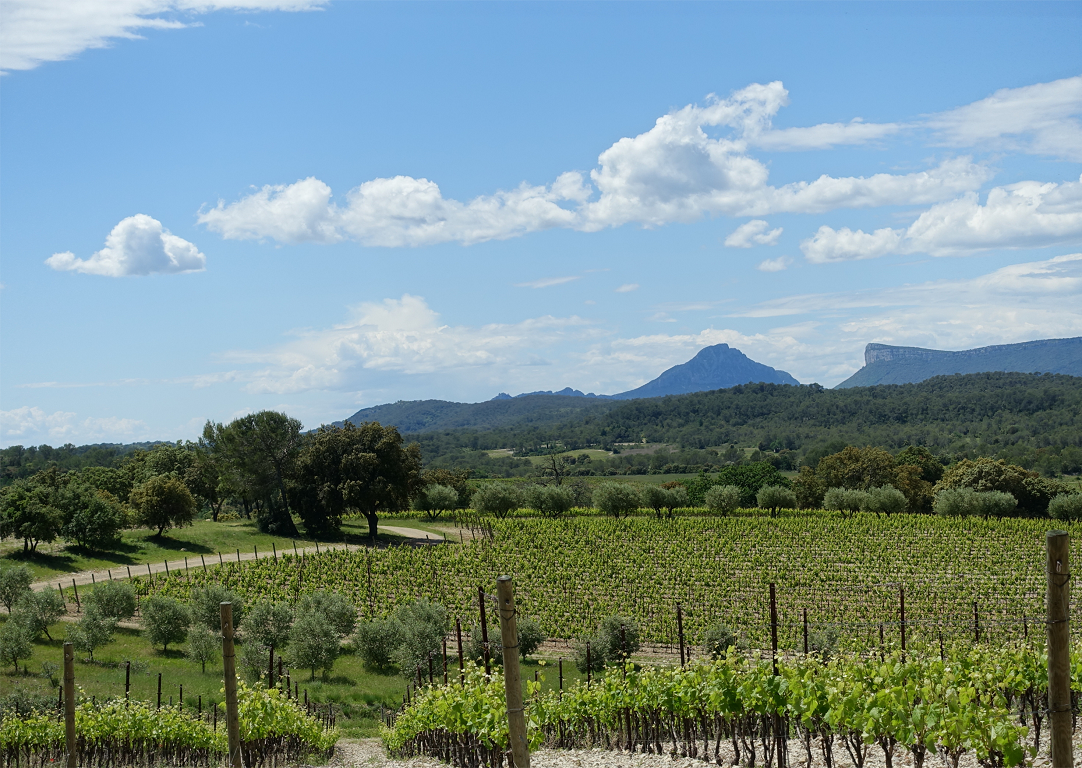 Die Geschichte von den Cuvees.