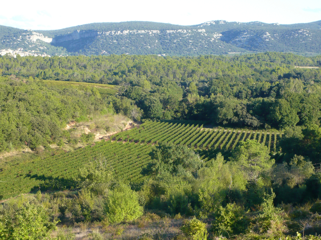 Die Parzelle «Le Brestalou»