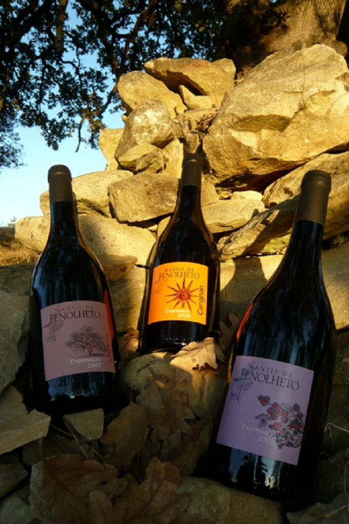 Weshalb «Expression»?