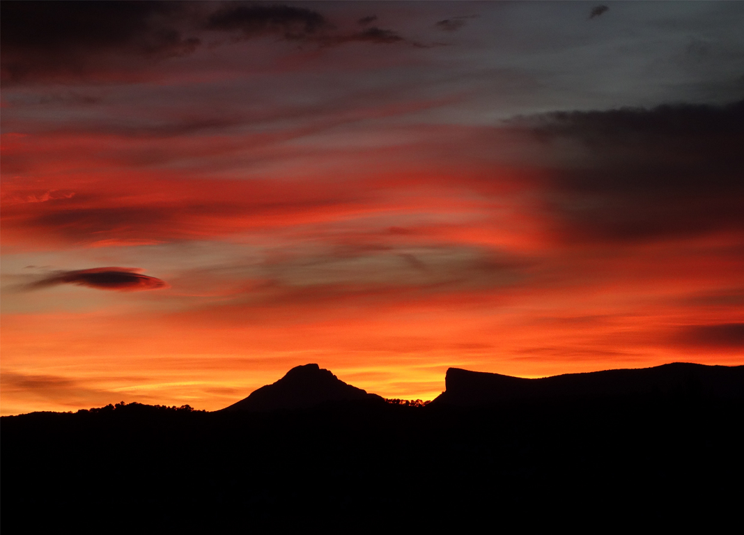 Die Geschichte vom Wyhock