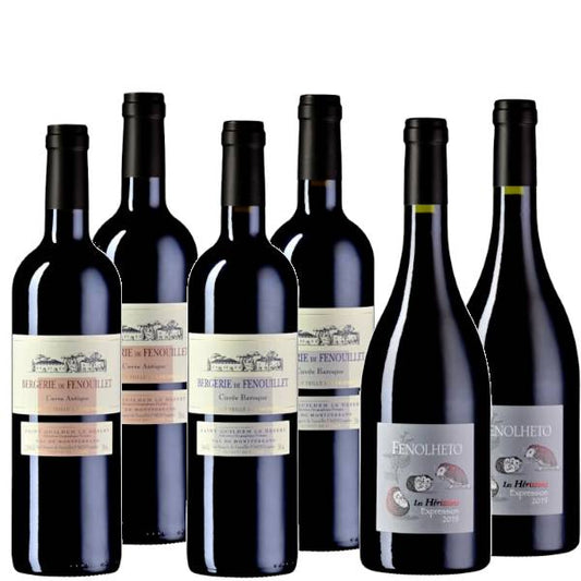 6 Flaschen Rotwein – kräftig, rund und würzig, mit der Wärme des Südens.